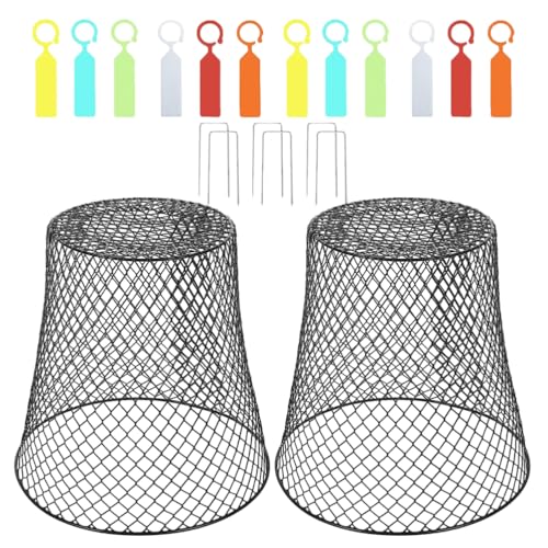 INOOMP 2Zbgcی SA琬Jo[ Ԓdphlbg A