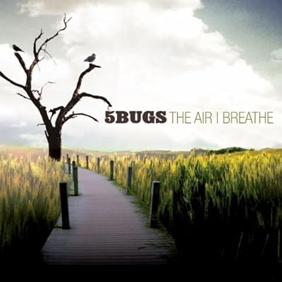 Air I breathe