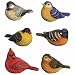 Carson Home Accents CHA57119 Songbird Classic Mini Bird Figurine, Set of 6 mini bird figurines