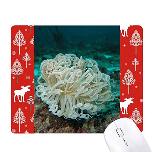 Tapis de souris élan et cerf Ocean Green idéal pour le télétravail nature
