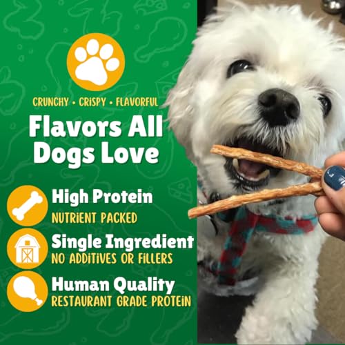 Lucky-Premium-Treats-Chicken-Straws--Quality-Single-Ingredient-Chicken-Jerky-Dog-Treats-for-Training--USA-Made-Dog-Treats--7-oz-Jar - Cucciolini Doodles   Lucky-Premium-Treats-Chicken-Straws--Quality-Single-Ingredient-Chicken-Jerky-Dog-Treats-for-Training--USA-Made-Dog-Treats--7-oz-Jar