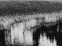Review Image by Lindsey McCarthy