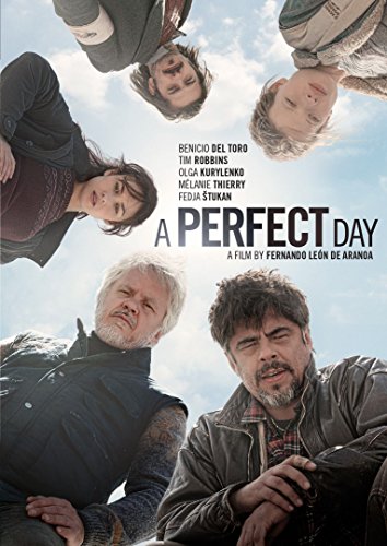 Evita el streaming borroso con A Perfect Day DVD USA original 2