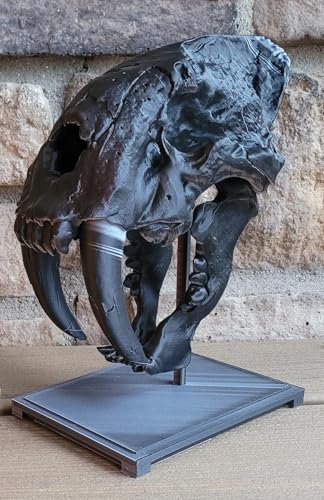 3D Printed Sabertooth Tiger Skull Replica, Large Animal Fossil