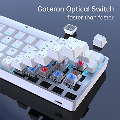 Dierya Dk61E 60% Percent Mechanical Gaming Keyboard, Optical Red Linear Switch, Pbt Keycap, Rgb Backlit, Waterproof, Wired Usb C Mechanical Keyboard With Full Keys Programmable #TOP2