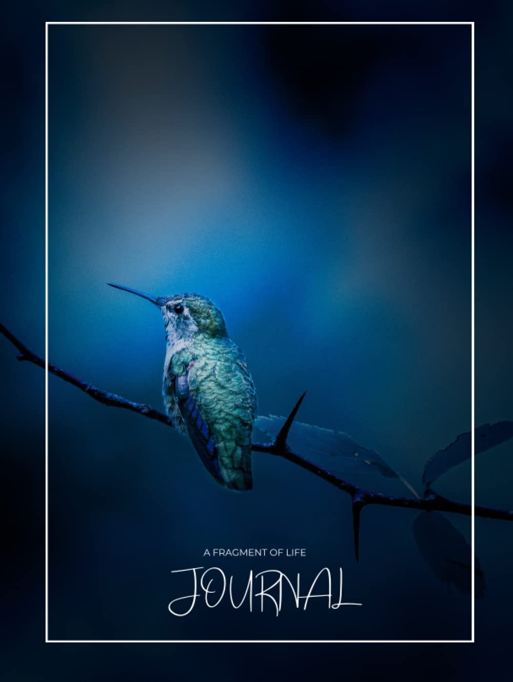 A Fragment of Life Journal