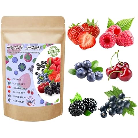 Mix Fruit Seeds 1100+ Berry Seeds for Planting Strawberry Raspberry Mulberry Blueberry Elderberry Cherry - 6 Varieties Individually Packaged Non-GMO for Home Garden Cover