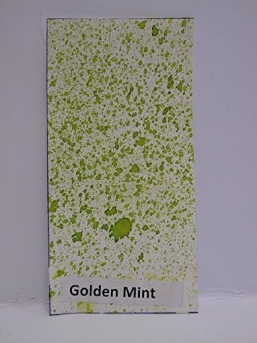 1 x 30ml Shimmer Magic Crafting Spray - for Additional Bottles @ £2.99 see below (Golden Mint)