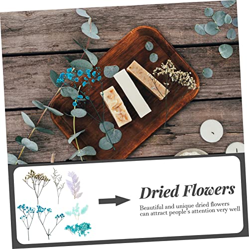 Set de flores secas prensadas para manualidades miniatura 3