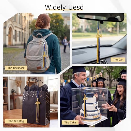 Image of GraduationMall Single&Multiple Color Graduation Tassel with 2026 Year Charm 9 inch