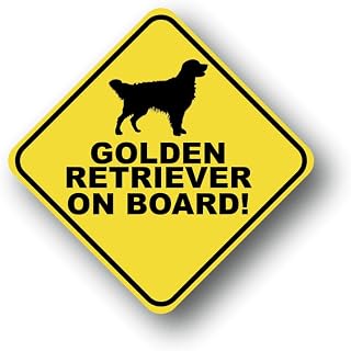 Golden Retriever on Board Magnet UV Printed Heavy Duty Magnetic Material | 4-Inch by 4-Inch PD1244Magnetic