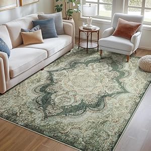 Area Rugs for Living Room, Area Rugs 5×7 for Bedroom, Comfortable and Soft Fabric, TPR Non-Slip Backing, Sturdy Sewn Edges, 5 x 7 Large Washable Carpet