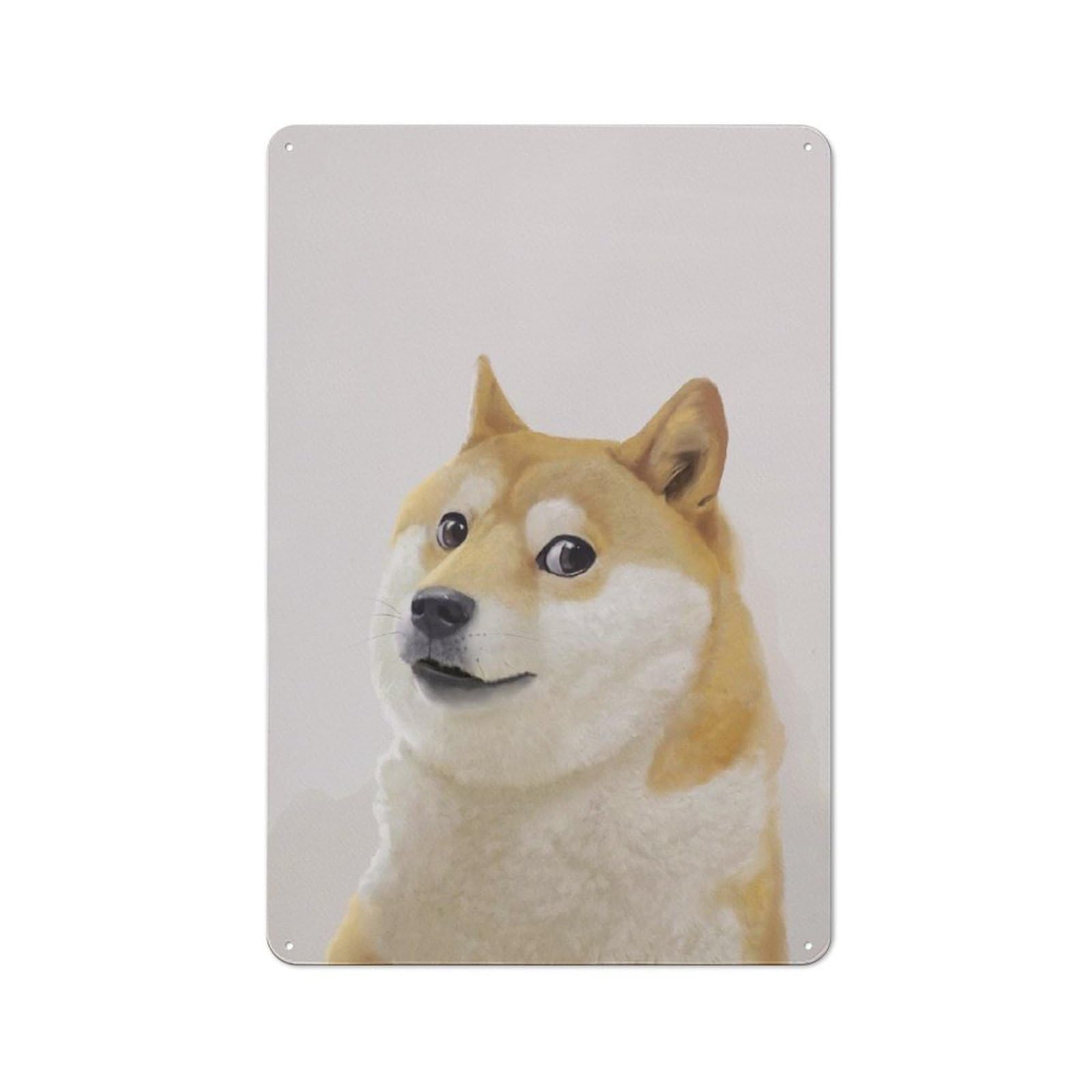 Junmoney Style Rustic Metal Sign 30X20cm Featuring Doge Meme For Hallway Wall, A Decorative Gift For A Newly Furnished Hallway
