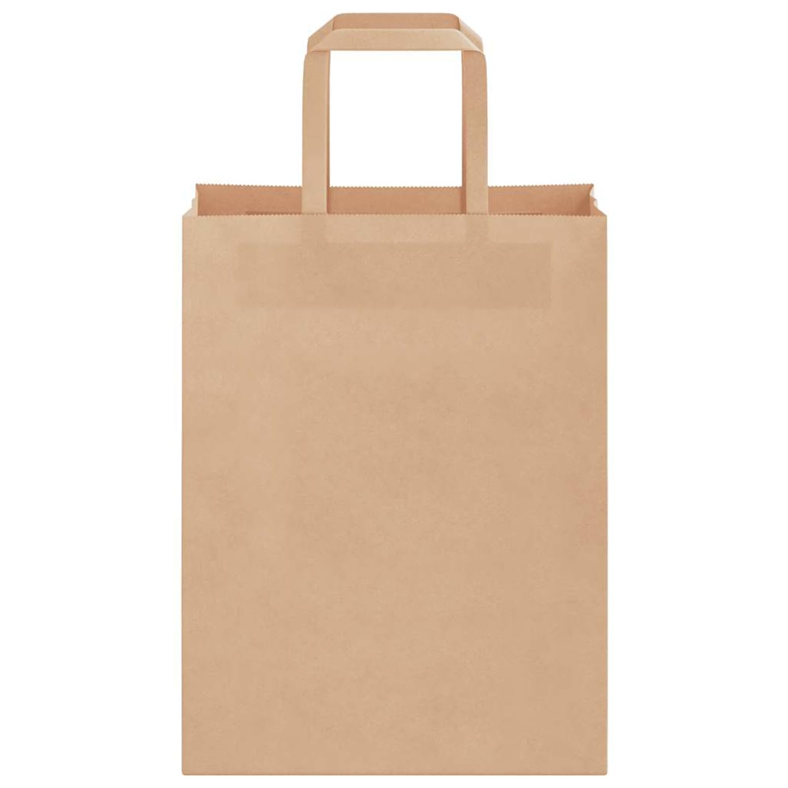 Fecpoo Papierowe torby transportowe 250 sztuk – brązowe, 21 x 11 x 28 cm, z papieru typu kraft nadającego się do recyklingu (80 g/m²), ze stabilnymi papierowymi uchwytami linowymi, idealne do