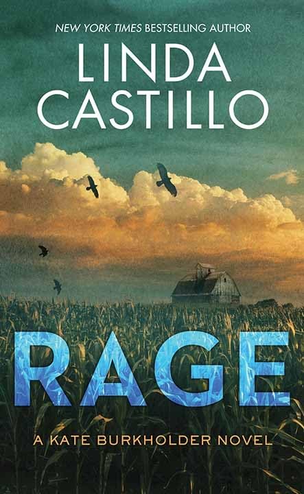 Rage: Kate Burkholder (Center Point Platinum Mystery (Large Print))      Library Binding – Large Print, November 1, 2025