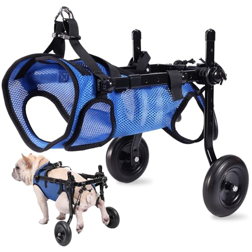 Fauteuil roulant pattes arrières pour redonner la joie de vivre à votre chien
