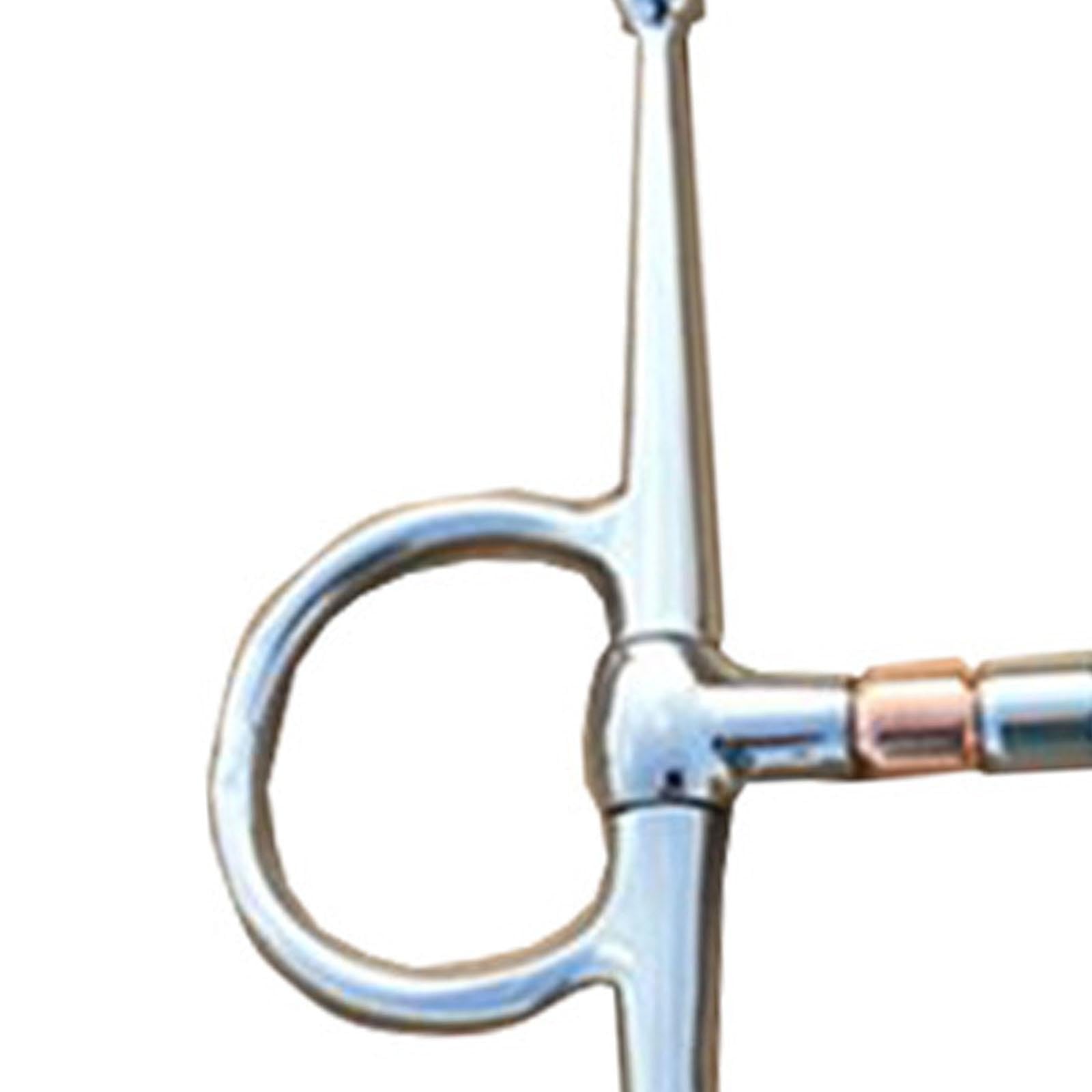 Fenteer Broca de Caballo, Broca de Brida, Anillos Sueltos de Rendimiento, Broca de Boca de Caballo, Broca de Filete