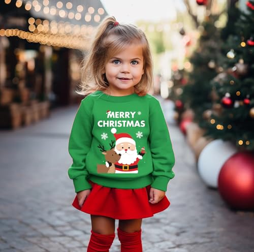 Toddler Boys Christmas Sweatshirt Kids Santa Dinosaur Penguin Shirt Xmas Pullover Sweater Long Sleeve Tops 1-7T4