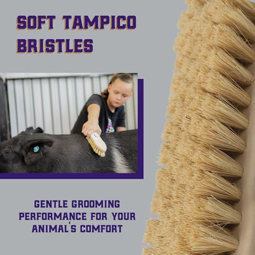 Image of Weaver Livestock Tampico Pig Brush, Plastic Grooming Brush for Dirt Removal, Soft Bristle Tampico Brush for Smooth Hair, Daily Show Pig Grooming Tools