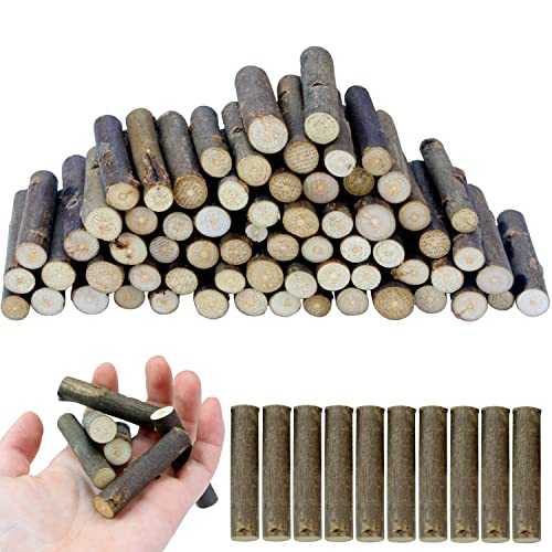 FSWCCK 100 PCS Craft Sticks, 2 Inch Natural Birch Twigs Sticks, Mini Wood Log for DIY Crafts, Farmhouse Centerpiece Decor and Rustic Home Decor