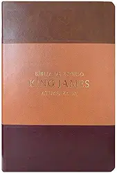 Bíblia de estudo King James atuali. full color - tricolor marrom, caramelo e bordô