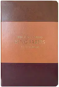 Bíblia de estudo King James atuali. full color - tricolor marrom, caramelo e bordô