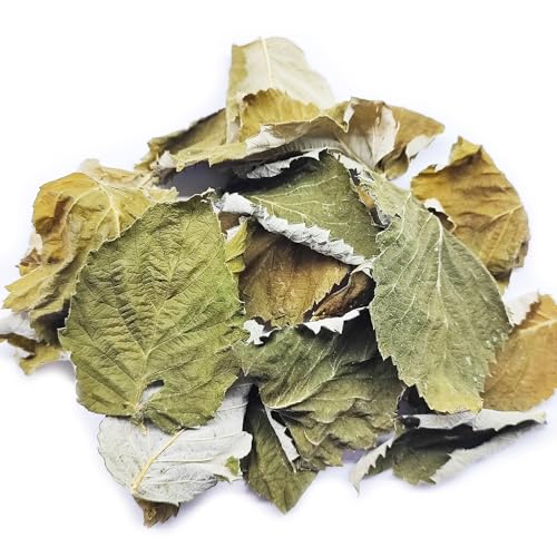 25 STK. Premium Himbeerblätter ganz (je 4-8cm) - Laub für Aquarium & Terrarium  Garnelen, Schnecken, Krebse, Welse | 3 in 1 = Futter, Versteck & Wasseraufbereitung