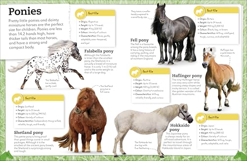 My Book of Horses and Ponies: A Fact-Filled Guide to Your Equine Friends - Image 4