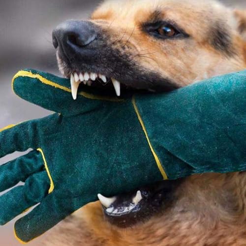Gants pour entraînement de chat épais pour manipulation d'animaux - 3