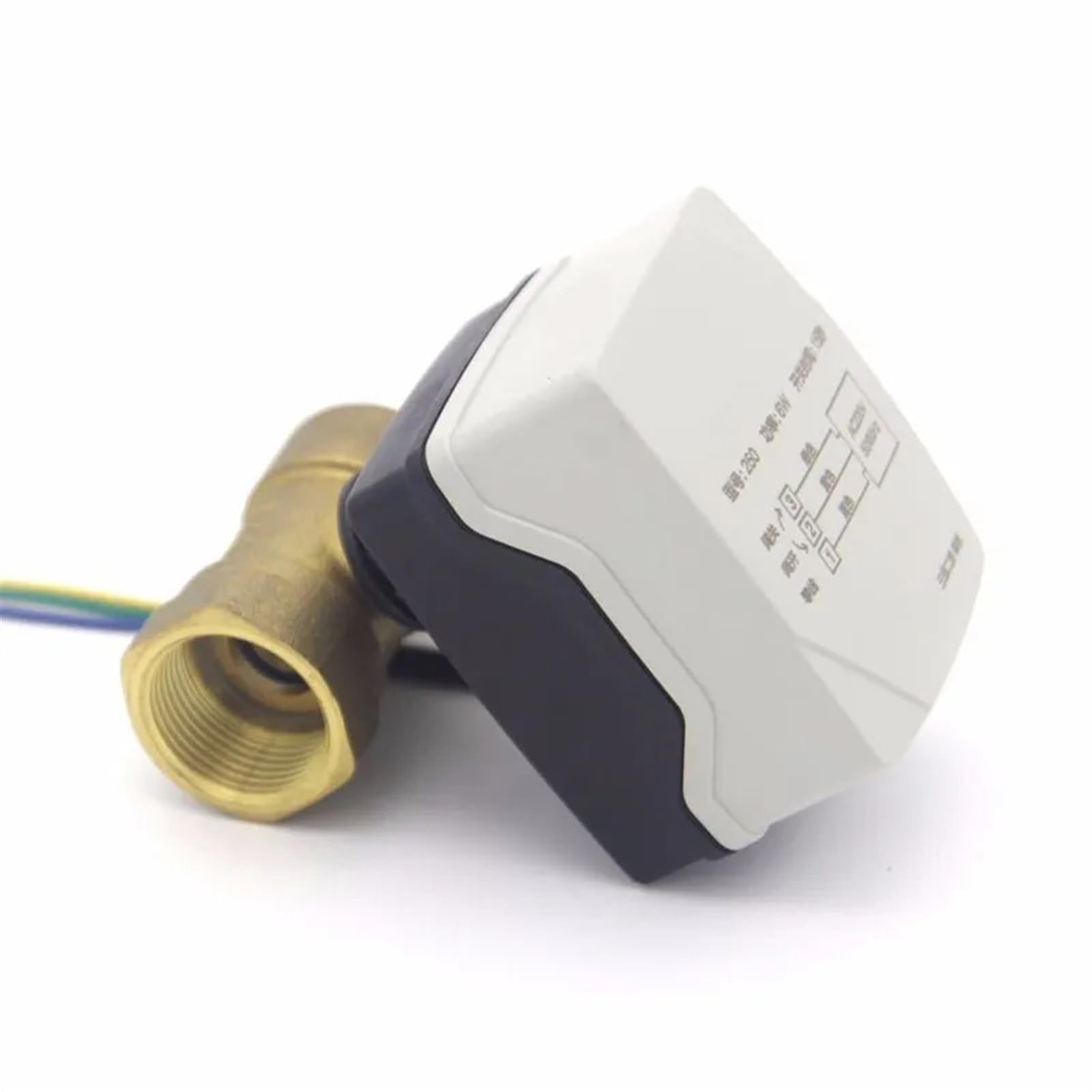 Globe motorisé à Moteur de Petite Taille, Boule motorisée à Eau électrique, vanne à 2 Voies, Support d'action d'électricité Chaude, en Laiton personnalisé