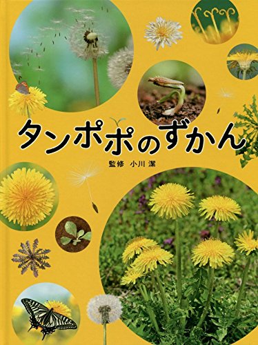 タンポポのずかん タンポポのずかん