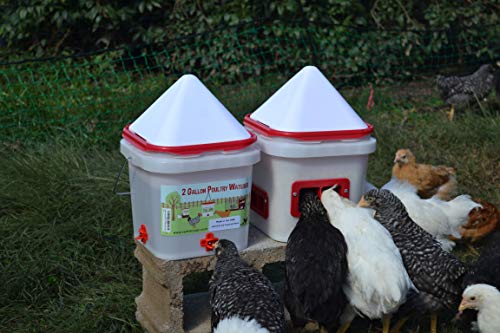 2 Gallon Chicken Waterer - Horizontal Nipple Setup (Center Placement) #TOP3