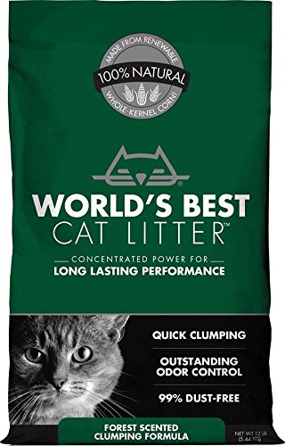 World's Best Forest Scented Clumping Litter - 12lb