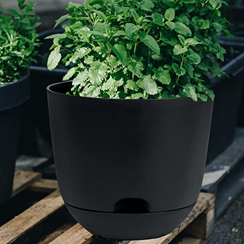 Qcqhdu Plant Pots,3 Pack 10 Inch Self Watering Planters High Drainage With Deep Saucer Reservoir,For Indoor & Outdoor Garden Flowers Plant Pot-Black… #TOP3