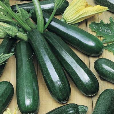 Seedscare Zucchini Black Beauty, 10 Seeds (B01DR0QFZI) Amazon Price History, Amazon Price Tracker