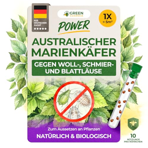 GREEN GUARDIA Cryptolaemus gegen Schmierläuse Wollläuse & Blattläuse 1 x 10 Nützlinge für ca. 5m -Australischer Marienkäfer Nützlinge für biologische Schädlingsbekämpfung an Pflanzen