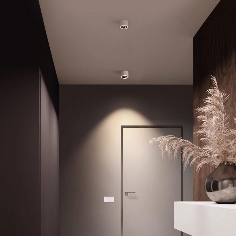 Leviton FR2TH-62B 8-Inch Theater Fresnel with 