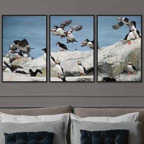 signwin 3 Piece Framed Canvas Wall Art Birds...