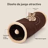 Ver la foto 3