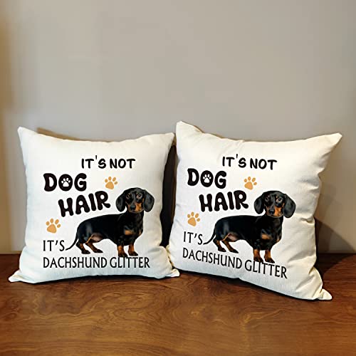 Ouz It's Dachshund Glitter Throw Pillow Cover - It's Not Dog Hair,Dachshund Dog Decor,Funny Pillowcase,Gift For Dog Lovers,Sofa Bed Living Room Home Decoration,18X18 Inch 8D319 #TOP2