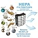 HQRP Filter Kit compatible with Shark Navigator NV70, NV71, NV60, NV80, NVC80C, NV90, NV95, UV420 Professional Upright Vac Vacuum Cleaner, Parts # XFF80 & XHF80 Replacement