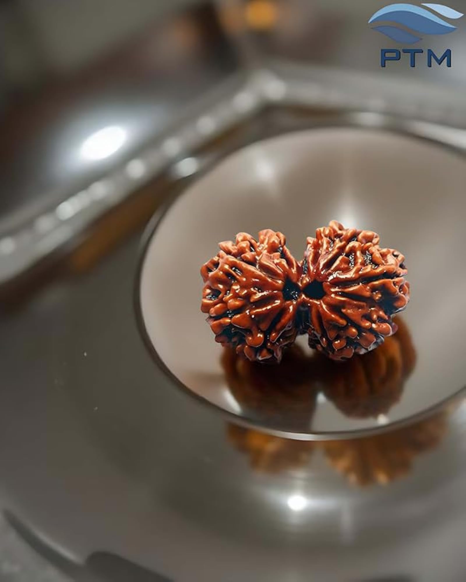 Gauri Shankar Rudraksha Certified Twin Beads