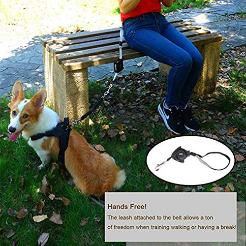Alipis Retractable Dog Leash Dog Walking Leash, Hands Free Dog Leash Pet Telescopic Traction Rope Belt For Running Jogging Hiking (Black) #TOP5