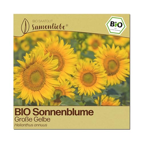 Sonnenblumen-Samen Samenliebe, 100 Samen, BIO