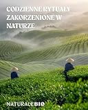 NaturaleBio Matcha w Proszku Organiczna Premium
