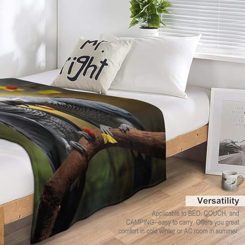 Housse de chaise décorative et couverture perroquet soft - 7