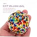 DOITOOL 6pcs Colorful Cat Grinding Interactive Chew Toys for Kittens for Teething Playtime Promotes Healthy Exercise Preserves Furniture
