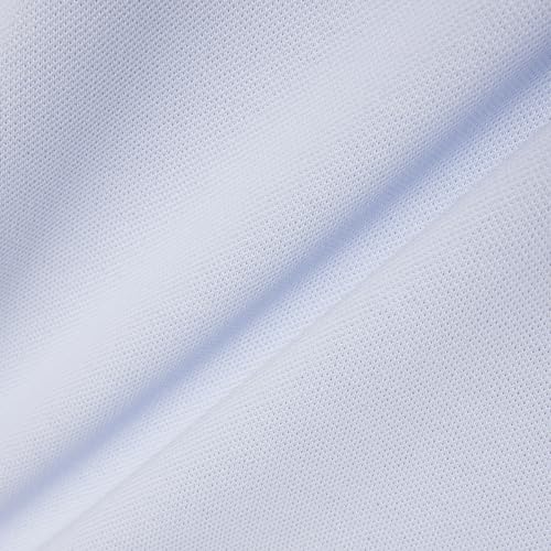 Image of Lacoste Men Polos