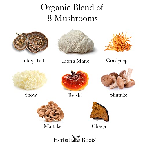 Herbal Roots M01 Mushroom Supplement Capsules | Blend Of 8 Organic Mushrooms thumb #5
