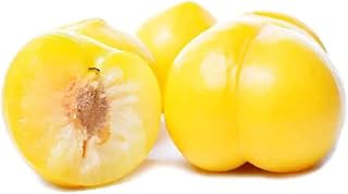 10pcs Yellow Plum Seeds for Family Enjoyment Perennial Fruit Trees A Good Choice for Planting Emitting A Rich Fruity Aroma Convenient Planting